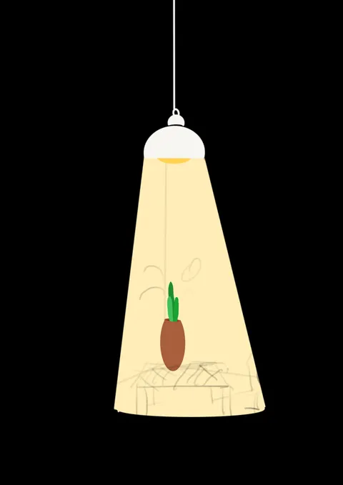 A white pendant lamp casting a cone of warm light on a small potted plant, with a faint pencil sketch of a table underneath, on black.